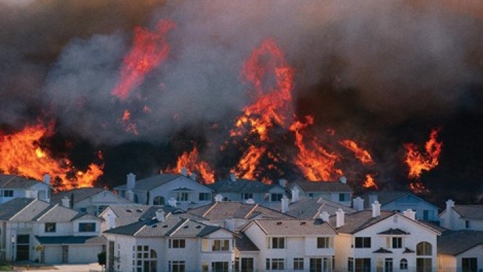 How can you safeguard homes in the wild?