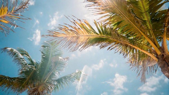 Florida sunshine